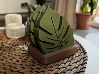 Leaf Coaster Set